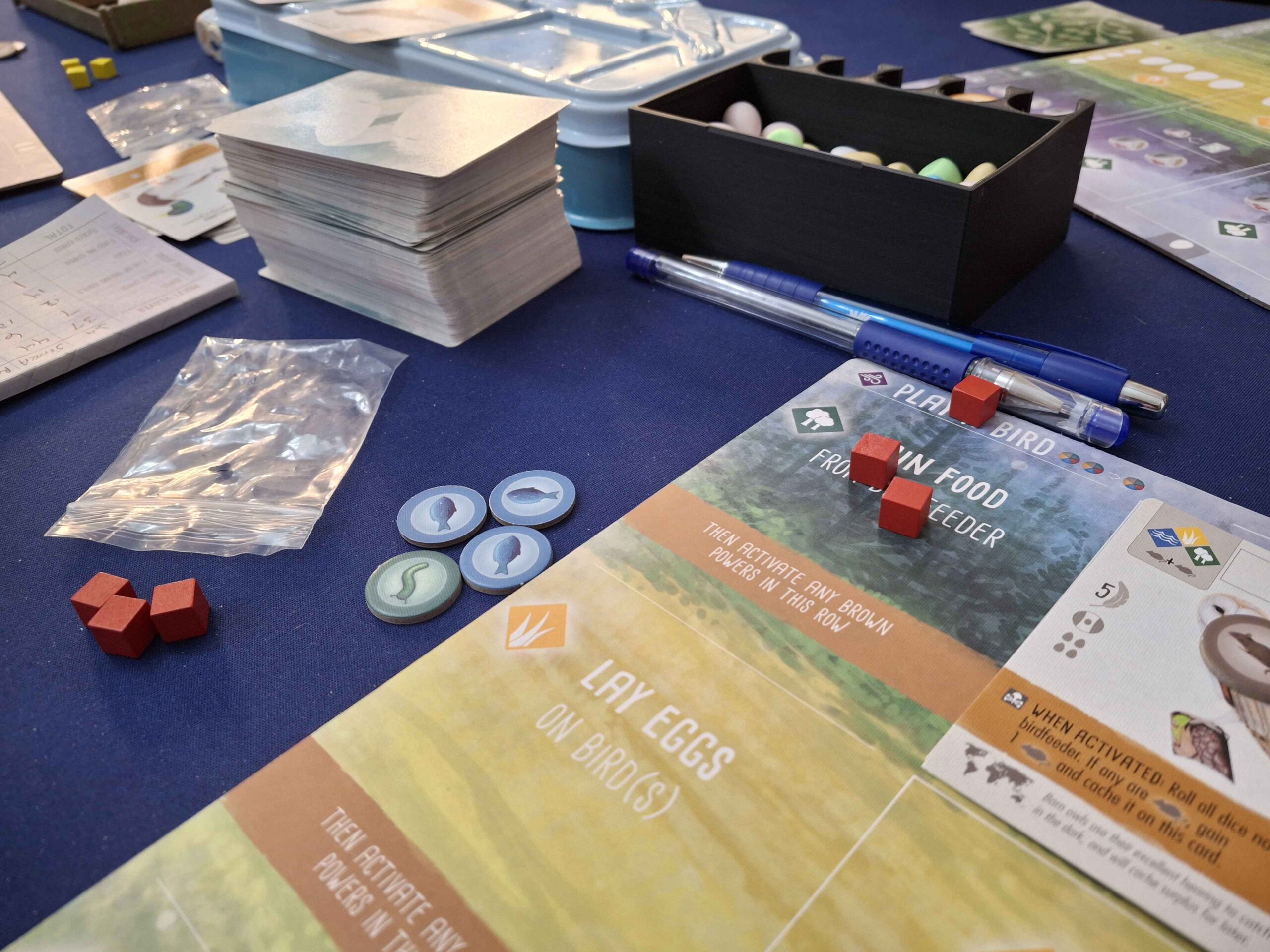 Thursday Game Night